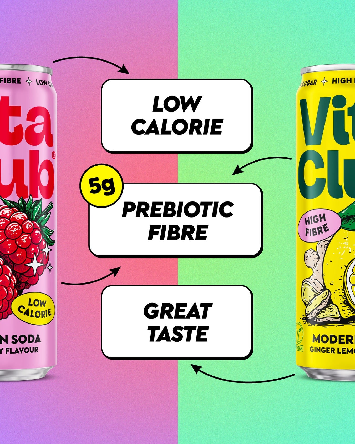 Ginger & Lemon - 6 PACK 330ml
